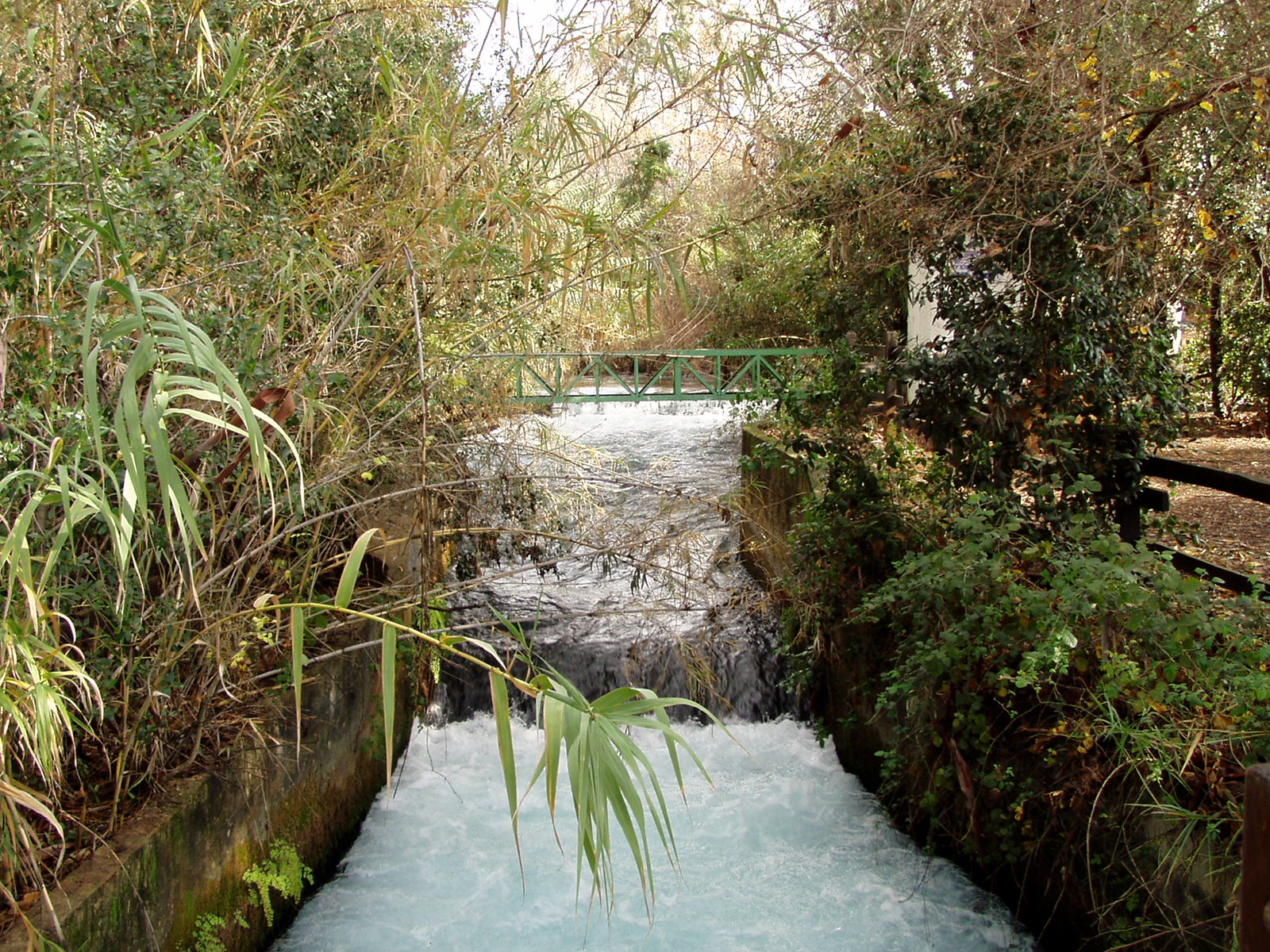 JORDAN RIVER